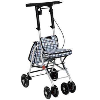 Shipur Check Black