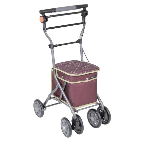 Drace Silver Car Red