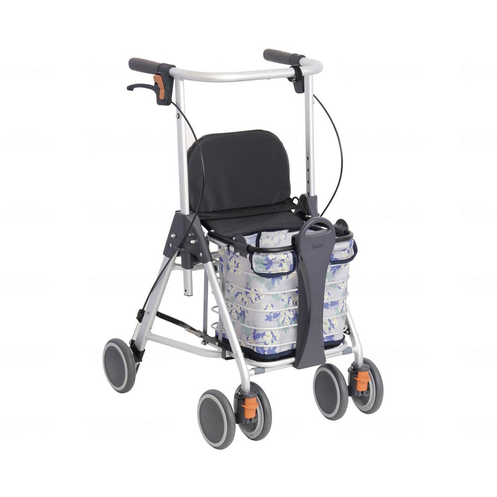Teicob Little Wagon Flower Ivory