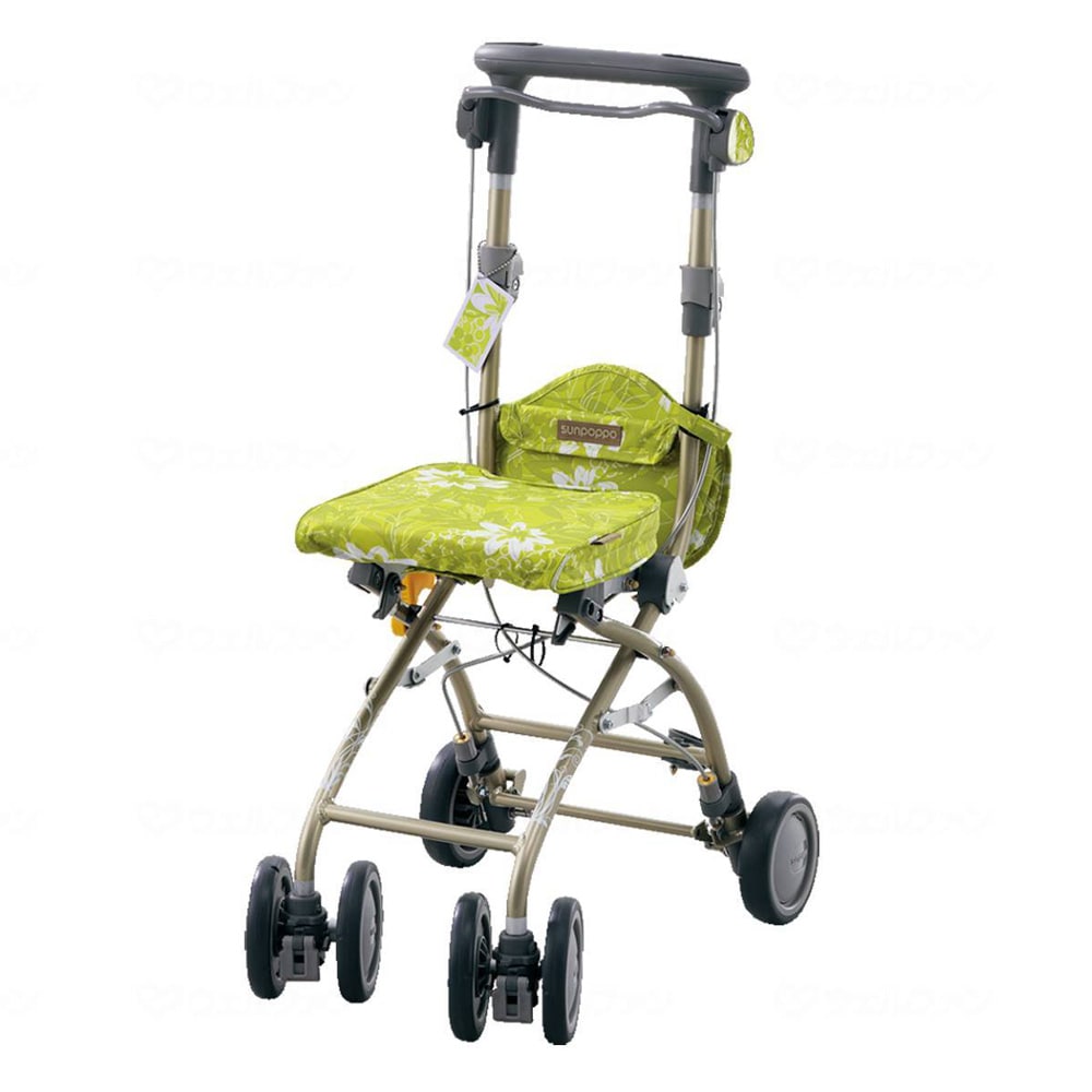 Silver Car Sanpoppo Green