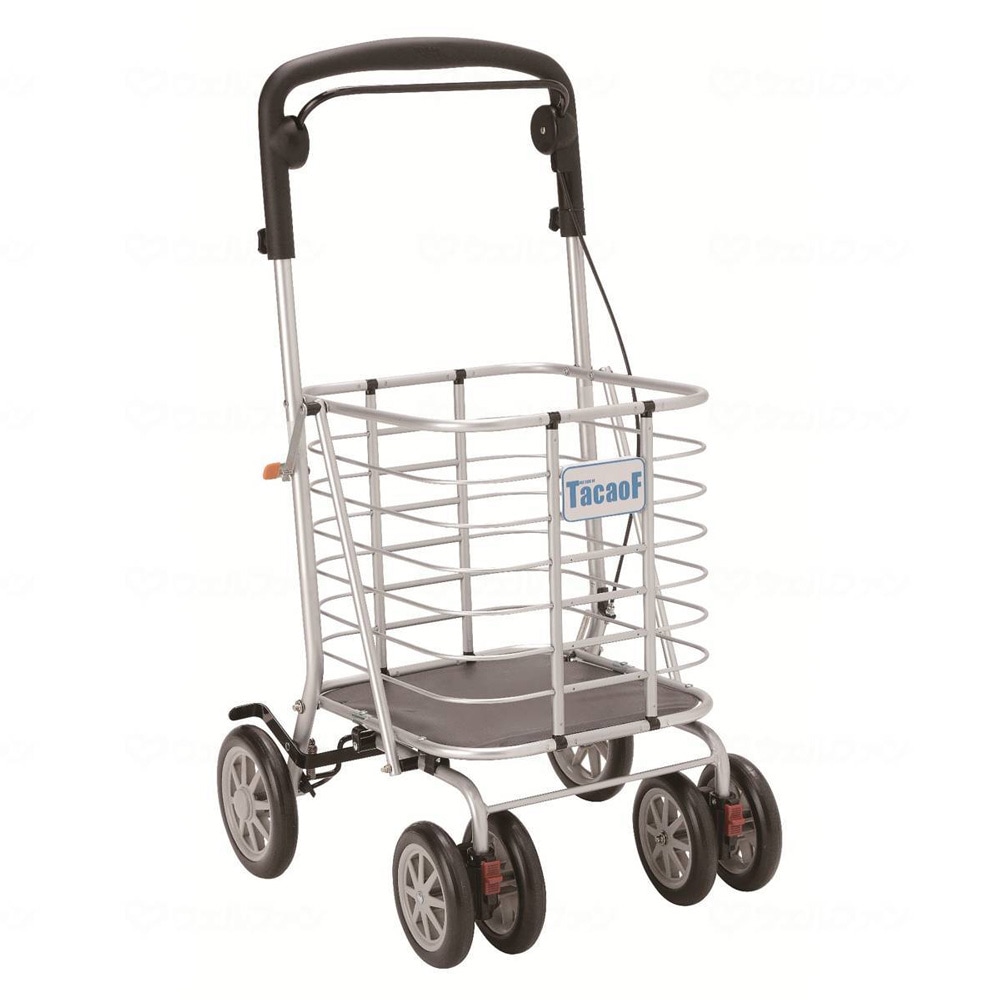 Teicob Wagon