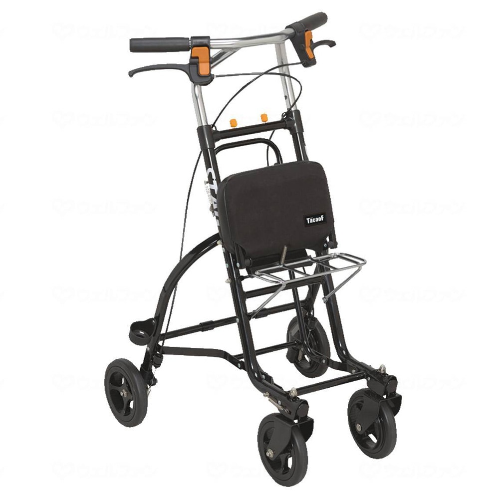 [Expected arrival after late July] Silver Car Stag US06 Black